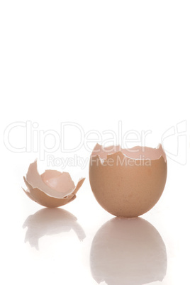 broken empty egg shell on white