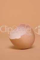 empty halved broken egg shell