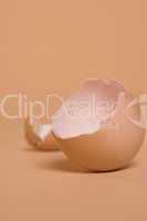 broken brown chicken eggshell, source of calcium
