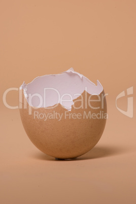 empty broken brown egg shell