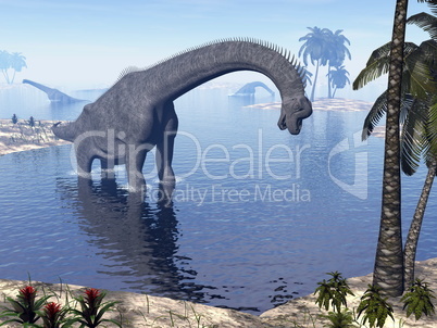 brachiosaurus dinosaur in water - 3d render