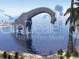 brachiosaurus dinosaur in water - 3d render