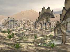 stegosaurus near water - 3d render