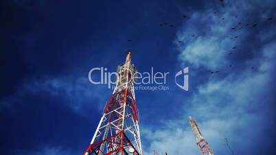 birds swarming radio cellular tower