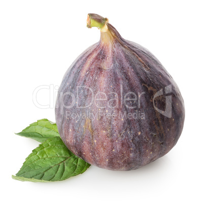 Figs with green leaf