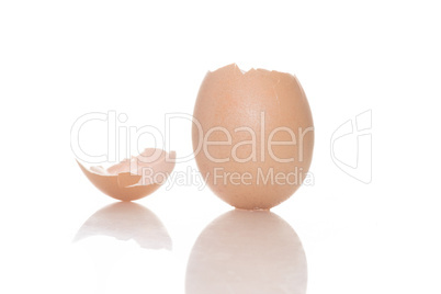 empty broken egg shell on a white background