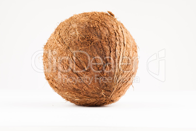 coconut