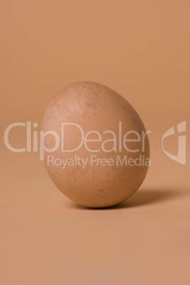 healthy free range brown hens egg