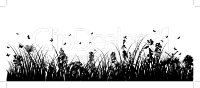 meadow background