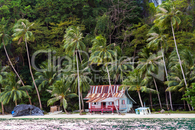 hut on tropical beach