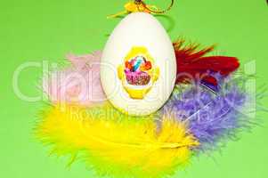 Easter egg and bird feathers