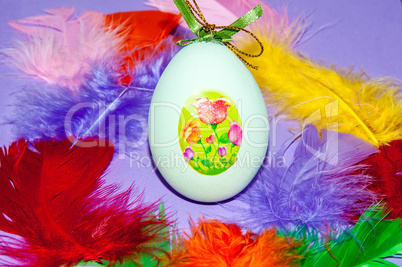 Easter egg and bird feathers