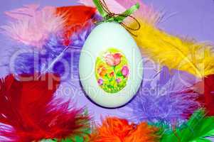 Easter egg and bird feathers