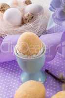 oster cake in the chicken egg