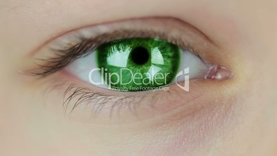 Multicolored Contact Lenses. Seamless Loop