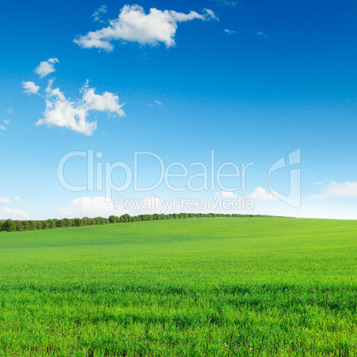 field and sky