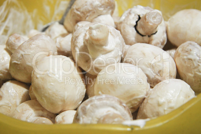 Champignon mushrooms in marinade ready for cooking