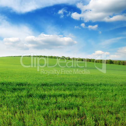 field and sky