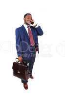 businessman with briefcase.