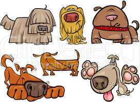 funny dogs set cartoon illustration