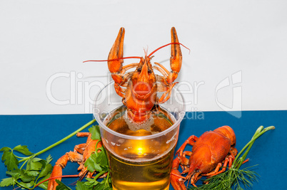 Boiled crayfish beer snack. ..