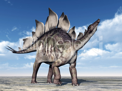 Dinosaurier Stegosaurus