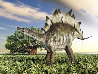 dinosaurier stegosaurus