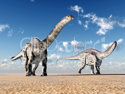 dinosaurier apatosaurus