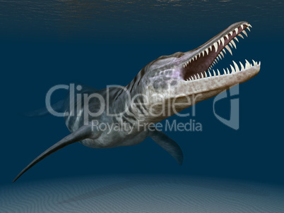 Liopleurodon