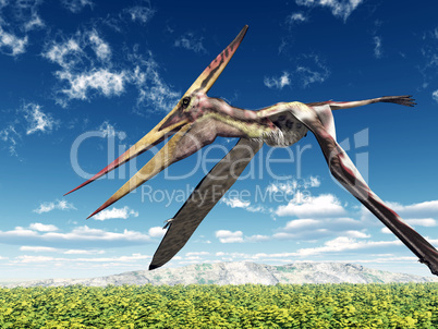 Flugsaurier Pteranodon