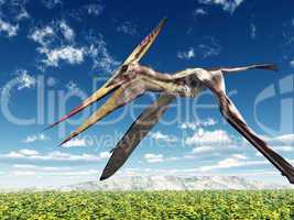 Flugsaurier Pteranodon
