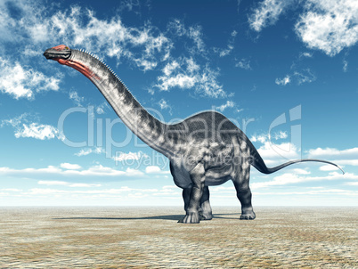 Dinosaurier Apatosaurus