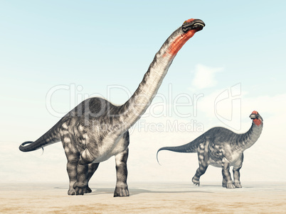 Dinosaurier Apatosaurus