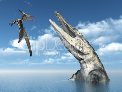 Pteranodon und Tylosaurus