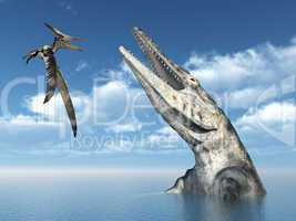 Pteranodon und Tylosaurus
