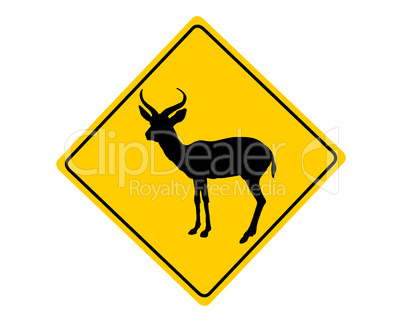 achtung antilope