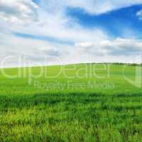 cloudy sky and green field