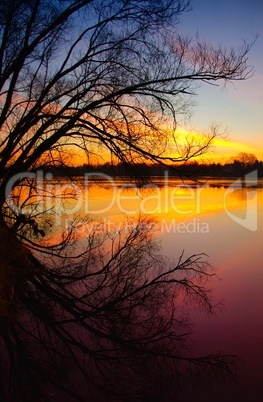Sonnenuntergang am See mit Baumsilhouette