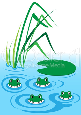 frogs