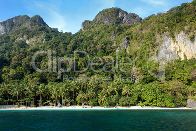tranquil tropical beach