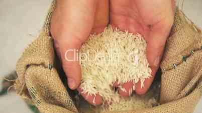 Rice Falling Through Fingers on Hands