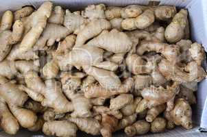 pile of ginger