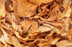 dried chanarelle mushrooms