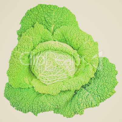 Retro look Green cabbage isolated