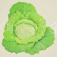 Retro look Green cabbage isolated