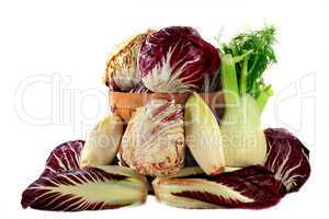 fennel and radicchio ingredients for gourmet salad