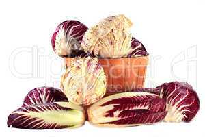 Different sorts Radicchio in bushel and on pile