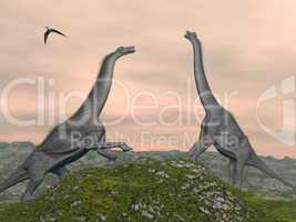 Brachiosaurus dinosaurs fight - 3D render