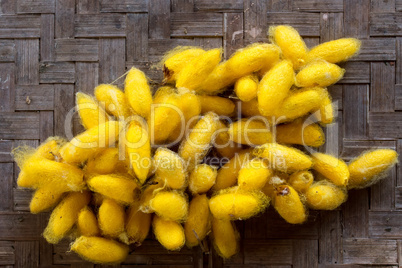 orange silkworm cocoons