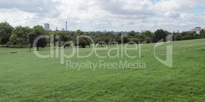 Primrose Hill London